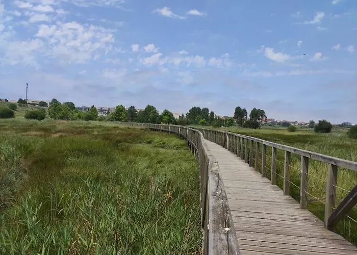 Refugio Da Ria Vagos